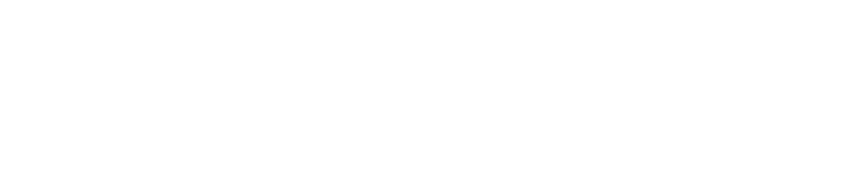 The Shepherd’s Hands Foundation